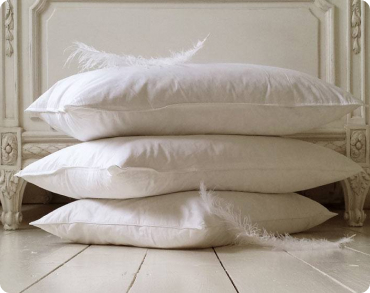 Về gối lông vũ HLV Down